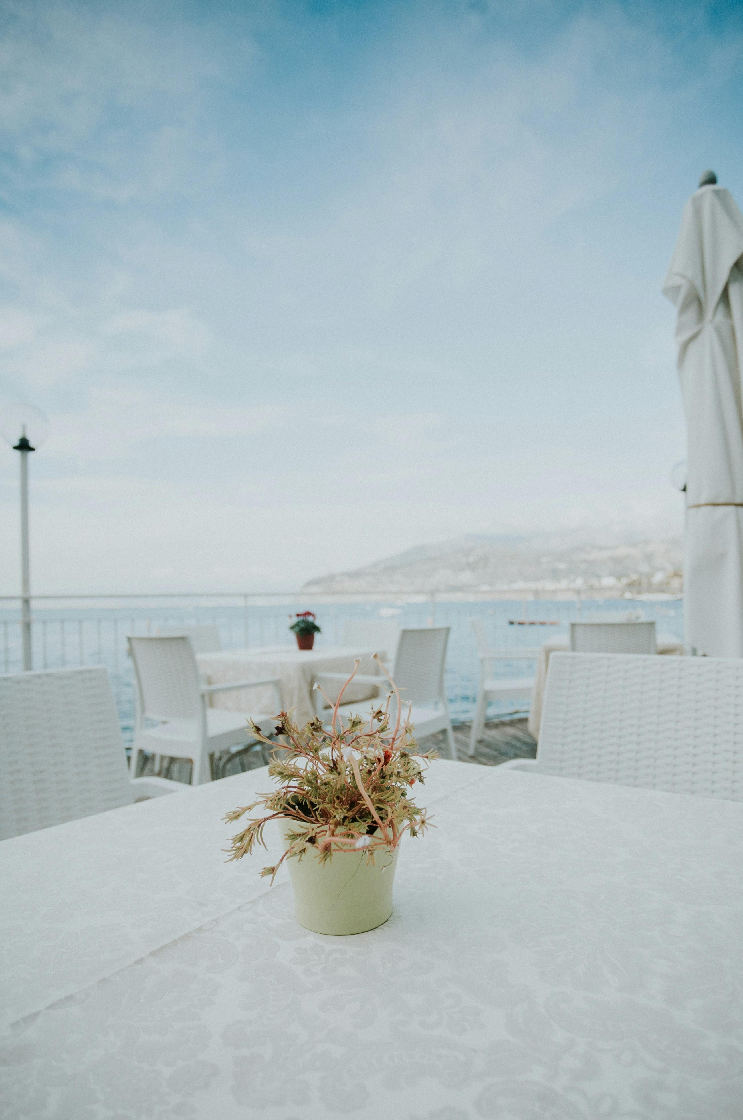 Jessi-Pena-E-HIIgvUrMI-Unsplash