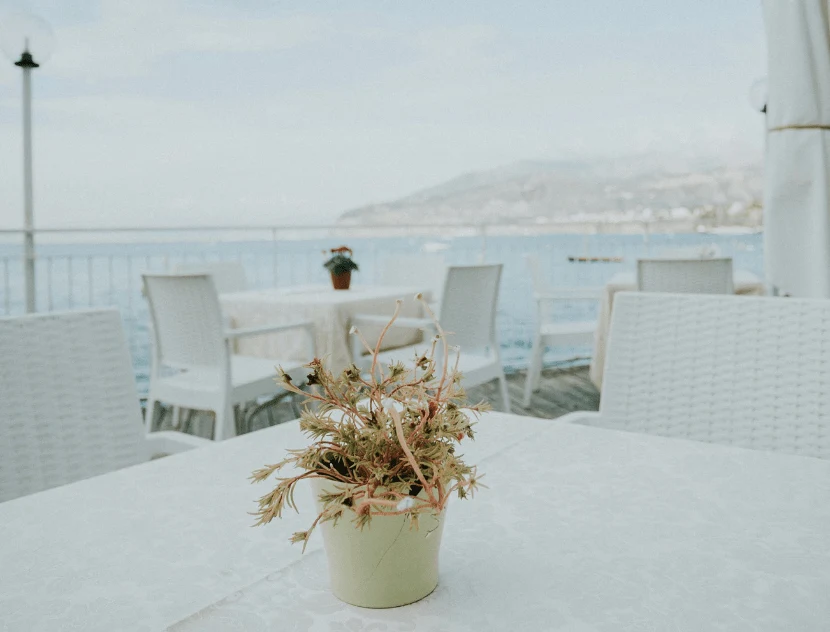Hotel digital marketing agency results